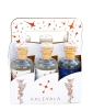 Kalevala Gin Taste Mix Pack